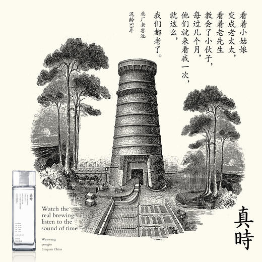 文王贡酒 真时1 真年份畅饮 42度500ml*4 商品图5