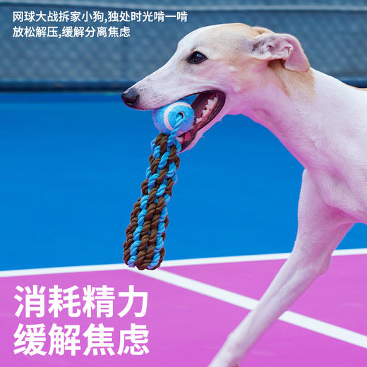 zeze‘是吧’‘好呀’绳结网球宠物玩具-B 商品图2