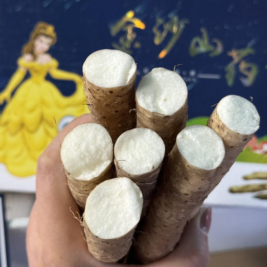 金沙山药 商品图1