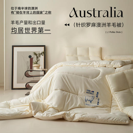 【澳毛加厚被芯】澳毛被芯秋冬保暖羊毛被子纯色澳毛被纯色冬季加厚被 商品图0