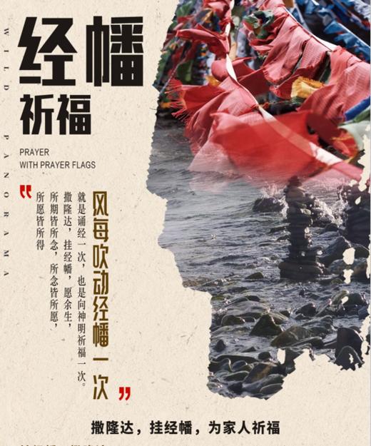 西藏12人小包团--奢野全景（高标纯玩） 商品图1