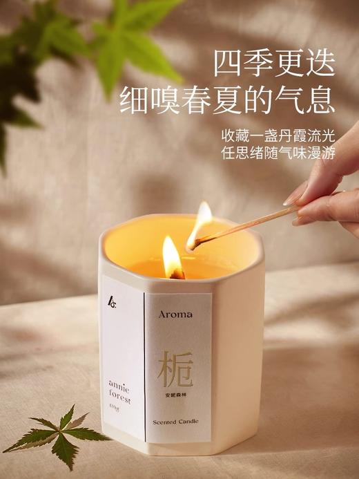 【尹谜】森韵香氛蜡烛🕯 商品图3