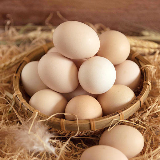 林下散养土鸡蛋 吃五谷杂粮虫子青草 营养丰富 商品图4