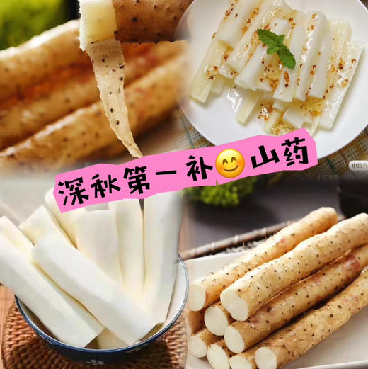 金沙山药 商品图0
