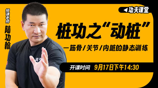 【9月17日】桩功之“动桩 商品图0