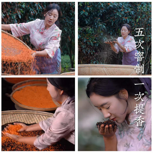 【桂花红茶•蒲城】千年丹桂之乡  全新包装4g*15包共60g 商品图2