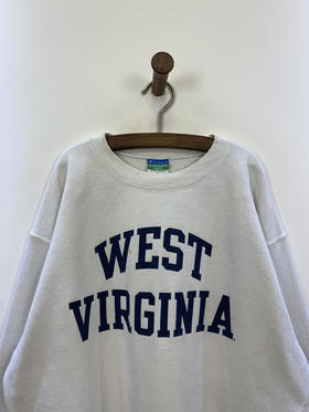 Y2K Vintage Champion 冠军 卫衣 _SLSS(L)