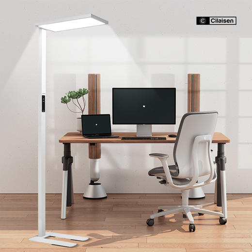 Cilaisen西莱森LED全光谱落地灯大路灯 上下立体双光源 接近自然光广域送光触控无级调光 商品图0