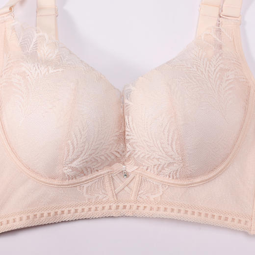 都市丽人调整型内衣舒软挺塑塑身文胸蕾丝A:加厚B:中厚塑身内衣3/4杯四排扣LJT1H6 商品图4