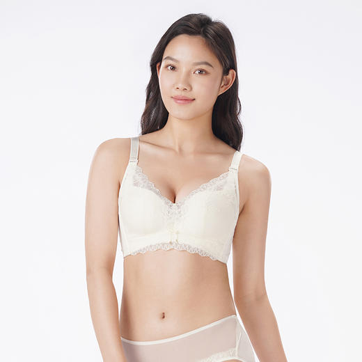 都市丽人调整型内衣舒软挺塑塑身文胸蕾丝A:加加厚B:中厚塑身内衣3/4杯四排扣LJT4H5 商品图1