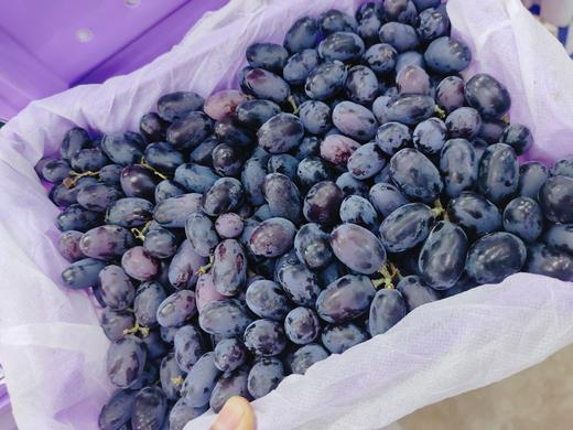 黑加仑葡萄一箱 商品图1