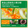 【有机】早康有机沙棘原浆210ml（30ml*7袋） 商品缩略图1