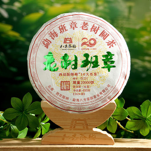 2024年 老树班章 普洱生茶400克 商品图1