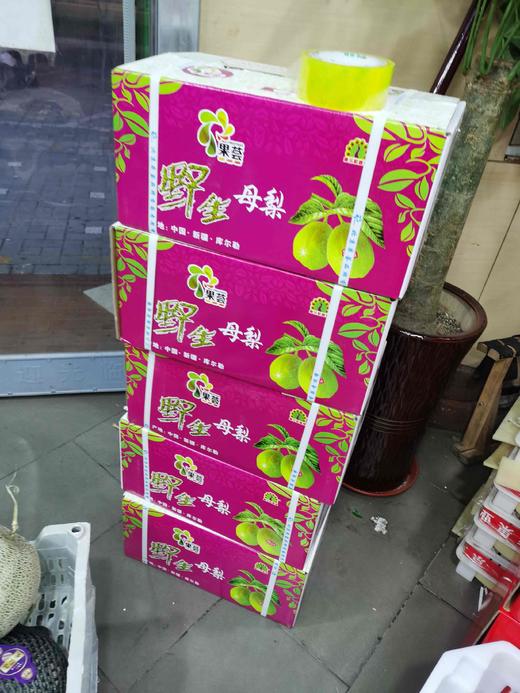 品牌新疆 库尔勒香梨 【整件】 商品图0
