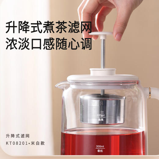 汉美驰养生壶KT08201 商品图1