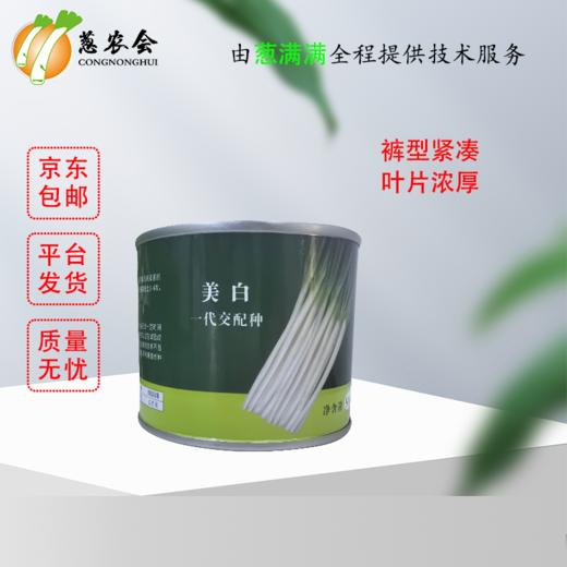 【种子】美白 商品图0