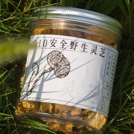 【积分兑换】010野生灵芝  云南丽江大山的好物 商品图2