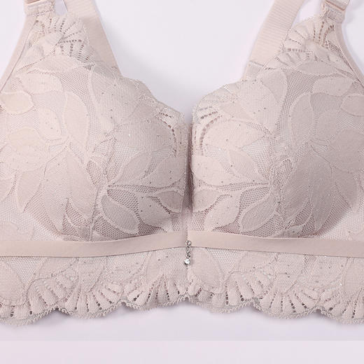 都市丽人调整型内衣美体纤塑塑身文胸蕾丝A:加厚B:中厚塑身内衣3/4杯四排扣LJT4K2 商品图4