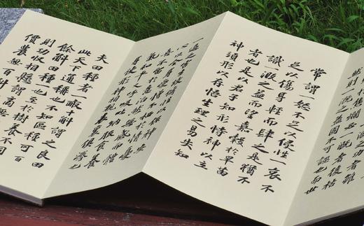 苏轼书嵇康《养生论》，线装，六合函套，经折装一册，晋 嵇康著，苏东坡书，武国忠评注，中国书店2014年一版一印，定价680，售价442元 商品图10