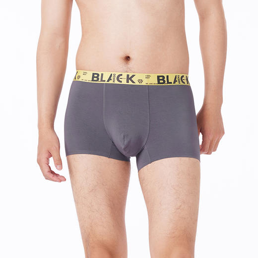 都市丽人都市锋尚内裤简约基础平角裤60S木莱尔男士内裤FKTHC9 商品图1