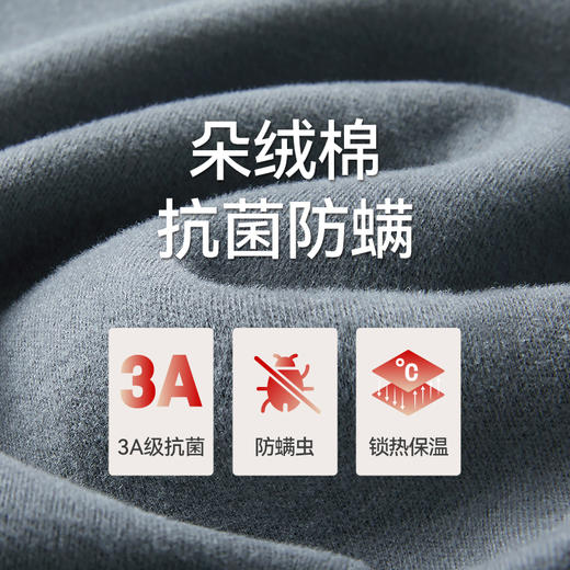 Threegun三枪 【朵绒棉】圆领长袖男打底衫-24419A011 商品图8