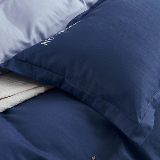 【7楼】富安娜床单四件\逐梦前行，蓝 商品图4