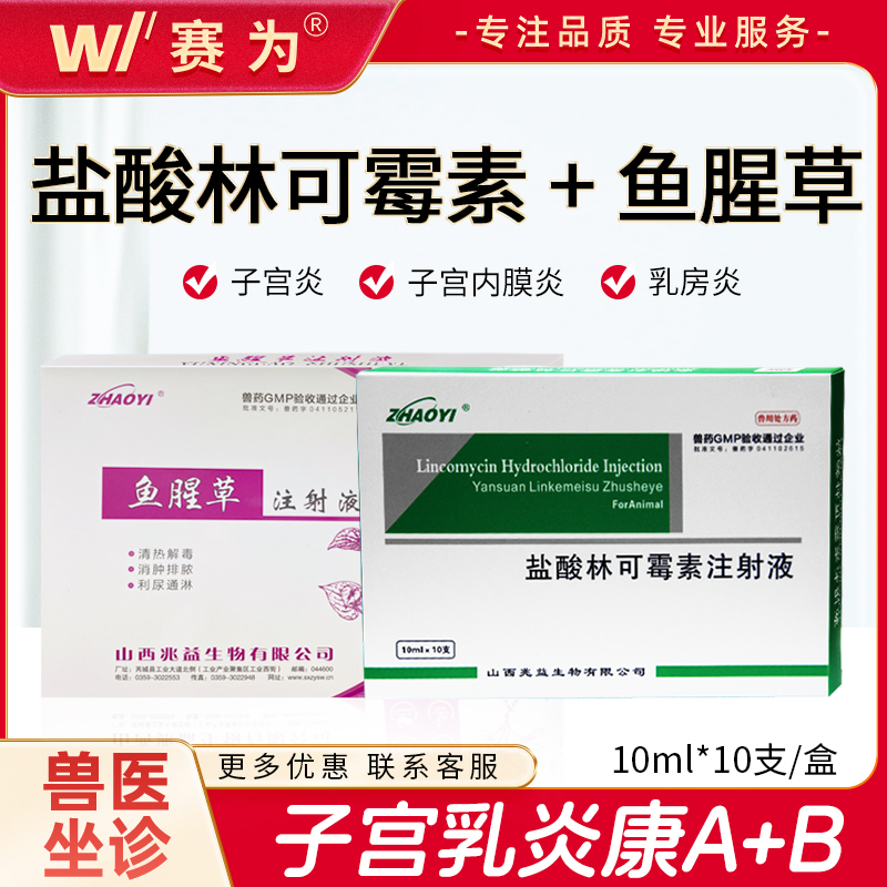 母猪产后消炎套装 林可霉素 鱼腥草注射液子宫内膜炎混合感染兽用