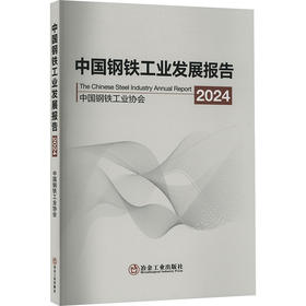 中国钢铁工业发展报告 2024