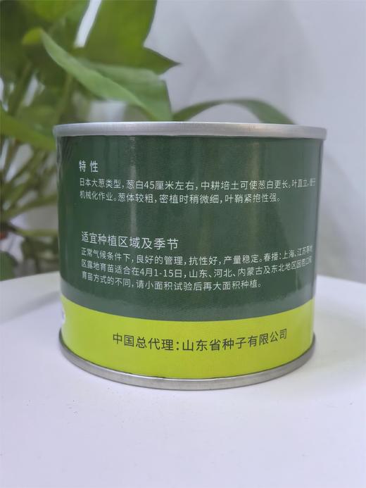 【种子】美白 商品图2