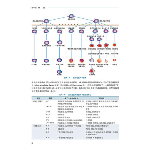 实用血液病学 血液系统结构与功能 凝血功能障爵性疾病 血液系统肿瘤性疾病 主编胡豫 黄晓军 吴德沛 人民卫生出版社9787117367523 商品图4