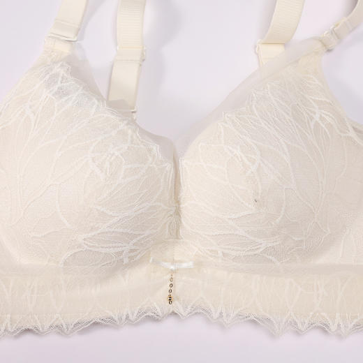 都市丽人调整型内衣舒软挺塑塑身文胸蕾丝中厚塑身内衣3/4杯四排扣LJT4K6 商品图4