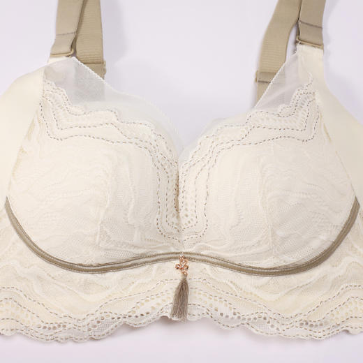 都市丽人调整型内衣舒软挺塑塑身文胸蕾丝中厚塑身内衣3/4杯四排扣LJT1M7 商品图4