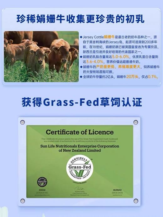 生命阳光免疫蛋白奶粉 800g 商品图4