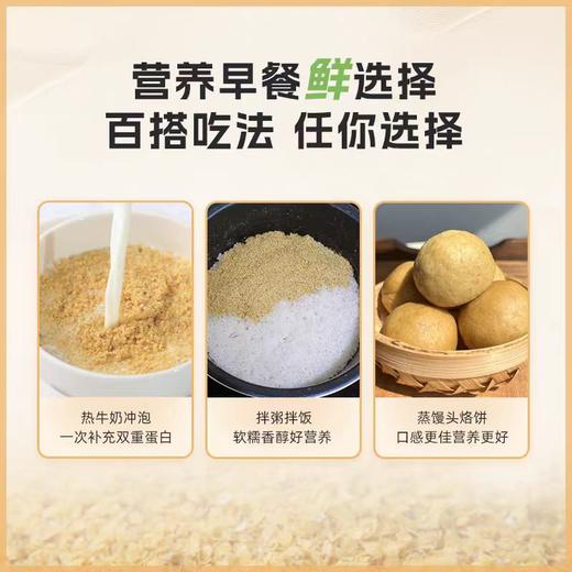 李时珍富硒黄金小麦胚芽480g 商品图5