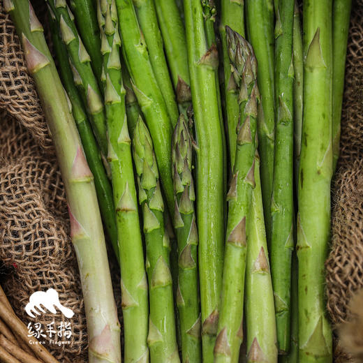 生态芦笋| 合作生产* Eco-asparagus | Partner Production 商品图3