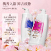 【感恩回馈】洗浴套装 商品缩略图1