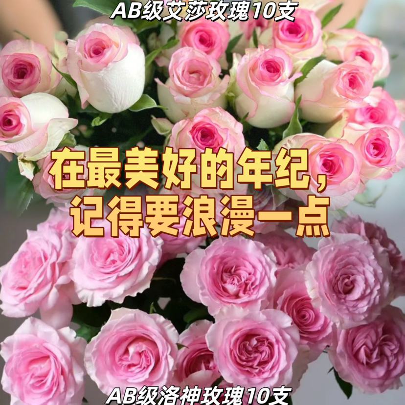 【在最美好的年纪记得要浪漫一点】AB级洛神玫瑰10支+AB级艾莎玫瑰10支/份