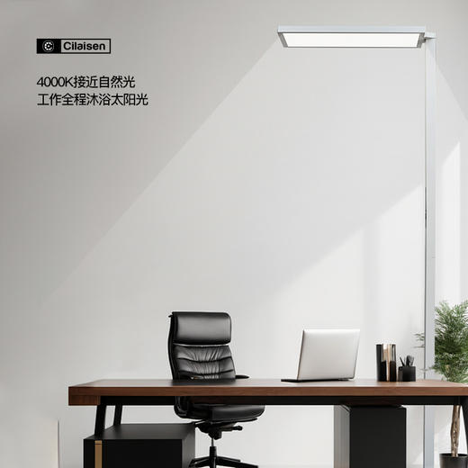 Cilaisen西莱森LED全光谱落地灯大路灯 上下立体双光源 接近自然光广域送光触控无级调光 商品图2
