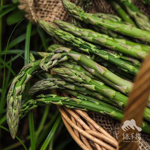 生态芦笋| 合作生产* Eco-asparagus | Partner Production 商品图2