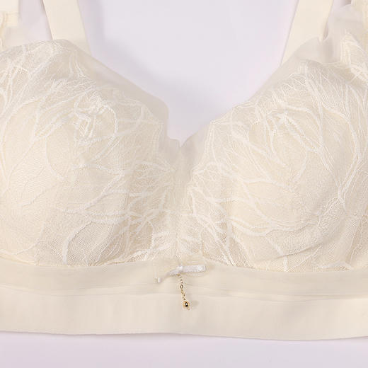 都市丽人调整型内衣舒软挺塑塑身文胸蕾丝超薄塑身内衣3/4杯四排扣LJT3K6 商品图4