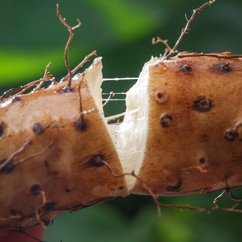 怀生堂温县垆土铁棍山药 3-5斤装 现挖现发鲜山药！