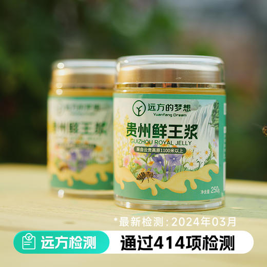 【拍2瓶减40元】检测SGS298项农残等0检出  匠心之选 密林深处蜂王浆 即采即冻 源头保鲜 有特殊香味 味酸涩辛辣250g/瓶 商品图0