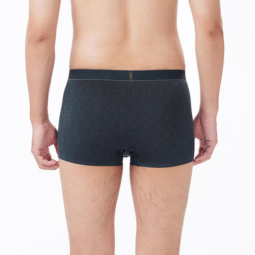 都市丽人都市锋尚内裤铂金舒适平角裤60S莫代尔男士内裤FKT4B5 商品图3