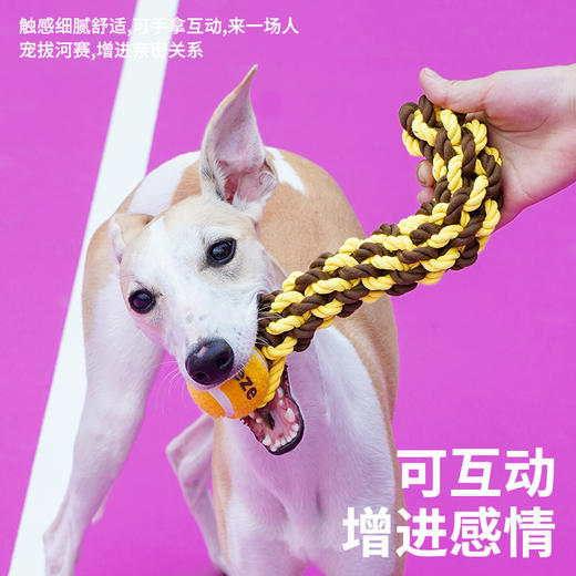 zeze‘是吧’‘好呀’绳结网球宠物玩具-B 商品图4