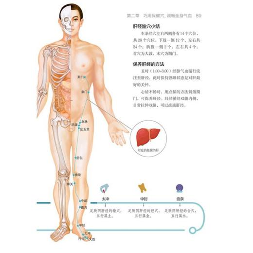 超简单穴位速查速用 商品图4