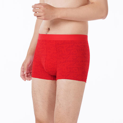 都市丽人都市锋尚内裤潮流时尚平角裤50S棉拉架男士内裤FKTCH2 商品图2