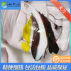 黑白关刀Heniochus acuminatus 商品缩略图0