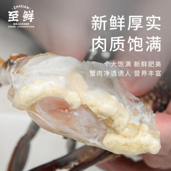 【冷冻】至鲜梭子蟹2.6斤/6-8只整只当季液氮冷冻3-5两/只吕四黄海海鲜螃蟹新鲜 商品图7
