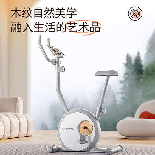 麦瑞克动感单车家用小型静音纪健身运动自行车室内磁控减肥器材 商品图2