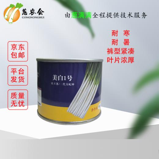 【种子】美白1号/直立葱 原罐进口 一代杂交 商品图0